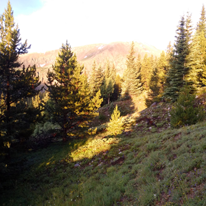 Quandary Peak (03).jpg